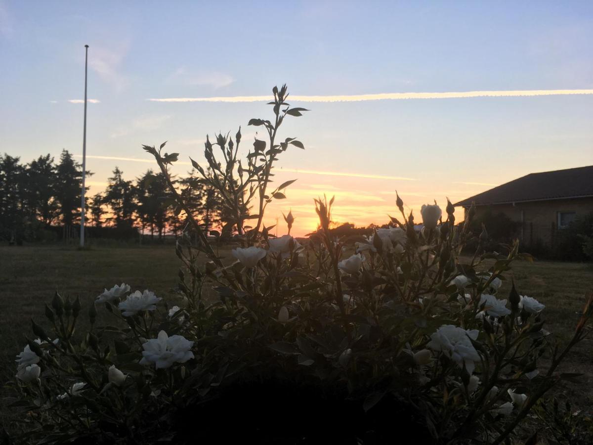 Gaestehuset “Vesterhede” Ringkøbing Kültér fotó